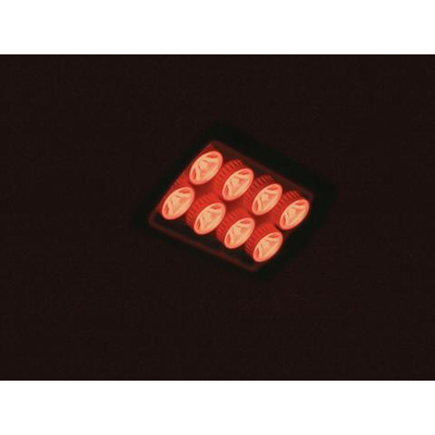 LED Strahler   8W rot  30 IP56
