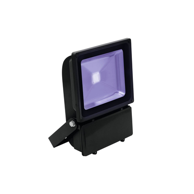 Outdoor UV flootlight 100W COB LED IP65