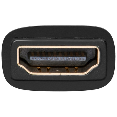 HDMI-Buchse > DVI (24+1) Stecker Adapter