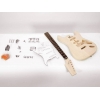 Guitar construction kit