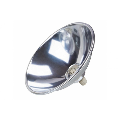  Raylight for PAR 56 with socket GY9,5 