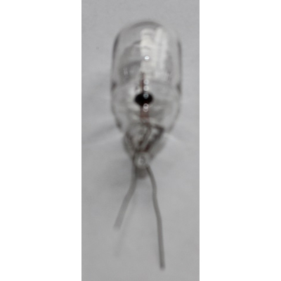 Gl�hl�mpchen  6V 330mA 2W mit Drahtenden