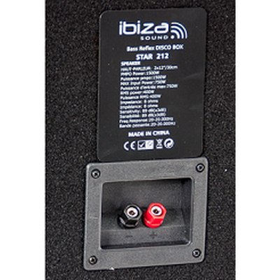 Disco Lautsprecher 2x12/30cm 750Wmax - STAR-212