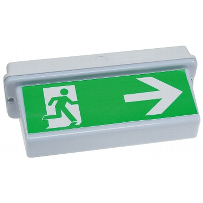 LED Fluchtwegleuchte f�r Deckenmontage IP65