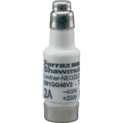 D01 Neozed Sicherung  6A 01700