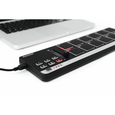 USB MIDI controller for music creators, producers and DJs -  PAD-12