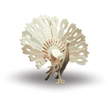 Wooden construction kit - Peacock - M852-1