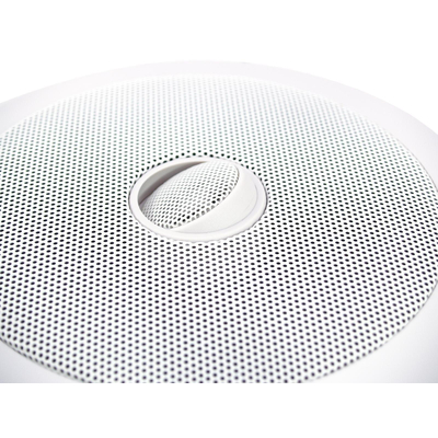 2-Way Ceiling Speaker - CST-5