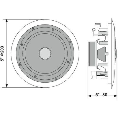 2-Way Ceiling Speaker - CST-5