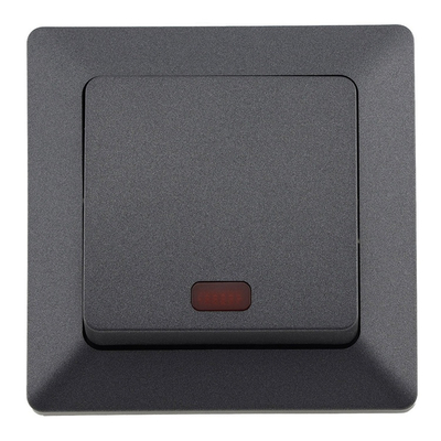 Switch with Indicator Light 250VAC 10A, incl. Frame,...