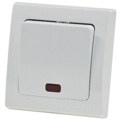 Switch with indicator  light