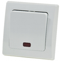 Switch with indicator  light