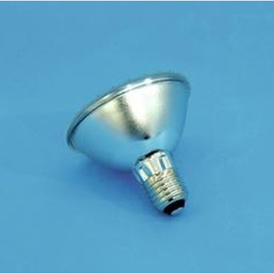 PAR-30 240V E-27 50 LED white