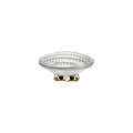 DWE PAR-36 G-53 120V/650W WFL 100h