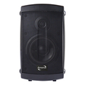 HiFi und Beschallungsbox  mit Wandhalterung 8 Ohm 40 Wmax...