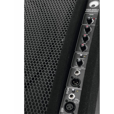 2-way active  stage monitor - SM-215A