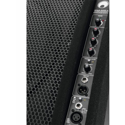 Aktiver 2-Wege B�hnenmonitor - SM-215A