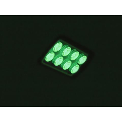 LED flooter   8W green 30 IP56 - LED IP FL-8 30 green
