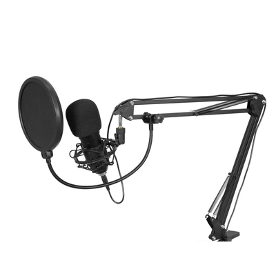 Condenser Broadcast Microphone Set - BMS-1C USB