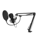 Condenser Broadcast Microphone Set - BMS-1C USB