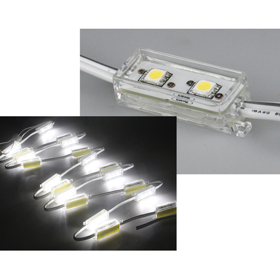 LED module white 2 x 5050 SMD LEDs IP65