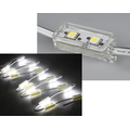 LED Modul wei 2 x 5050 SMD LEDs IP65