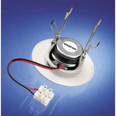 3.3 Ceiling-mounted speaker 10Wmax 8 Ohm - DL 5