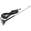 DAB + Antenna