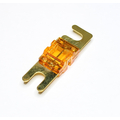 Mini ANL fuse  40A gold