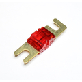 Mini ANL fuse  50A gold