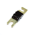 Mini ANL fuse 175A gold