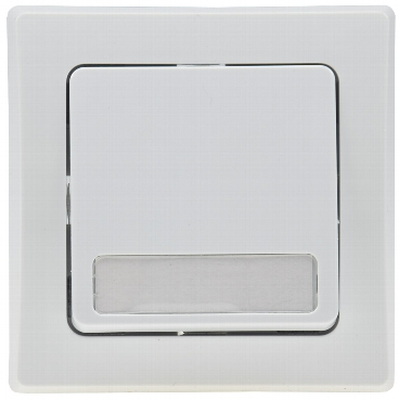 Flush-mounted button with name tag incl. Frame 250V ~ /...
