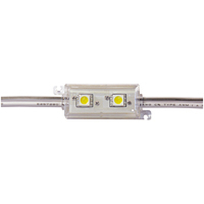 LED Modul blau 2 x 5050 SMD LEDs IP65