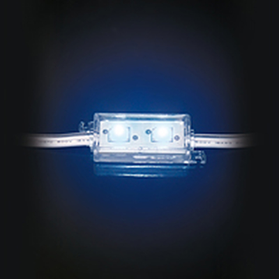 LED module blue 2 x 5050 SMD LEDs IP65