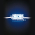 LED module blue 2 x 5050 SMD LEDs IP65