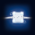 LED module blue 4 x 5050 SMD LEDs IP65