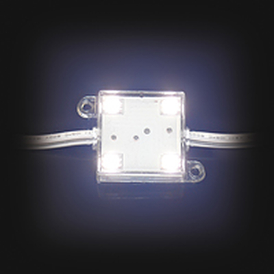 LED module white 4 x 5050 SMD LEDs IP65