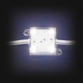LED module white 4 x 5050 SMD LEDs IP65