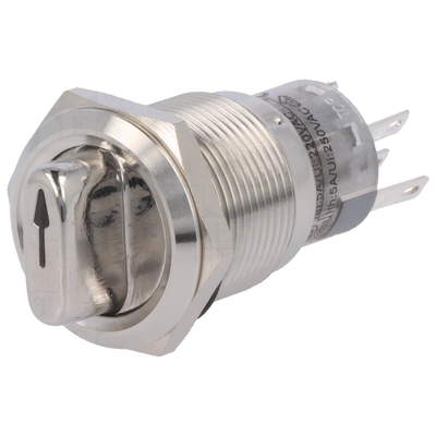 Rotary action switch 19mm 1 x on/(on)  0.5A / 220VAC 1A / 24V DC lighting 12V