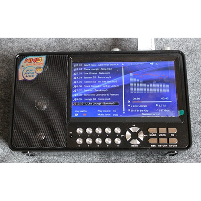 Mobiles HiFi system with FM USB SD with Remote control  - NS-219