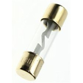 AGU Fuse 40A