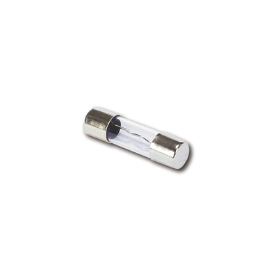 AGU Fuse 80A