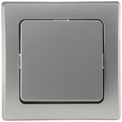 Two-Way Switch 250VAC 10A incl. frame flush-mount silver