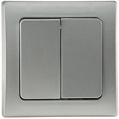Double rocker switch, 250V AC, 10A, incl. frame, flush-mounted, silver