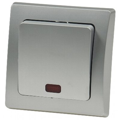 Schalter mit Kontrolleuchte silber