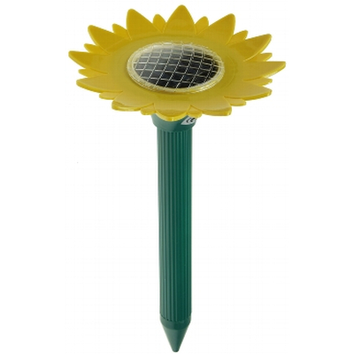 Molecule fright with solar operation