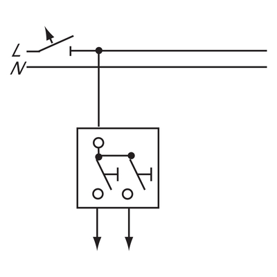 UP Doppeltaster-Einsatz - 2020 US-205