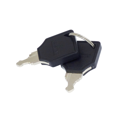 Full Metal Keyswitch Stainless Steel 2 x on/on IP50
