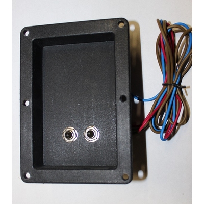 2-way crossover with jack sockets on installation shell