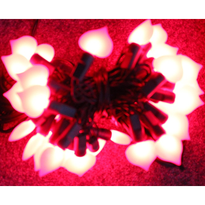 LED-Lichterkette mit  40 roten Herzen 230V